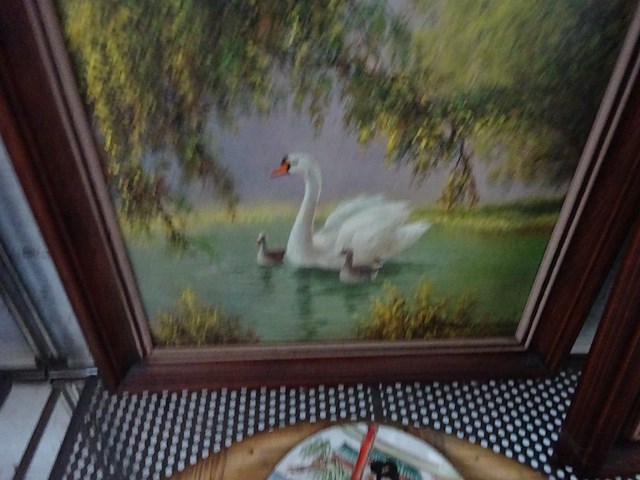 2 kaders zwanen - afbeelding 2 van  2