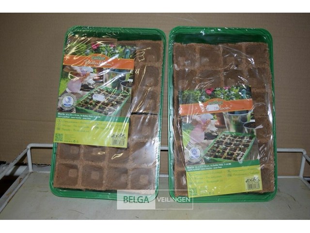 2 kamerbroeikastjes - afbeelding 1 van  2