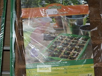 2 kamerbroeikastjes - afbeelding 2 van  2