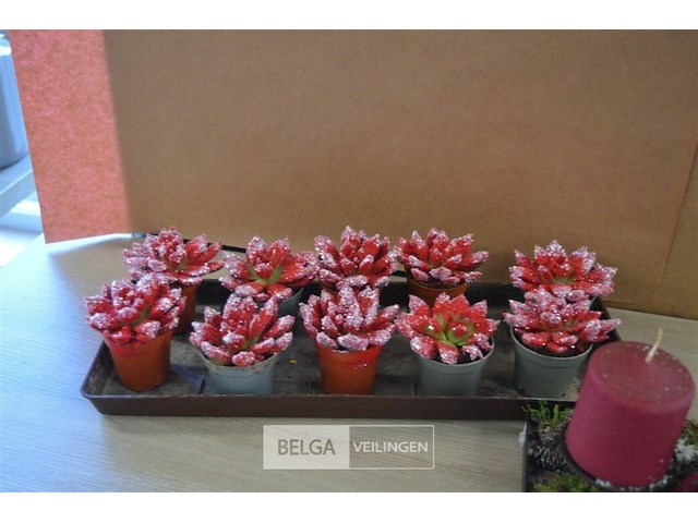 2 kerstdecoratie - afbeelding 2 van  3