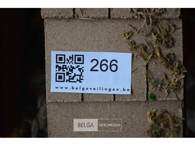 2 kerststallen en div kaarsen - afbeelding 5 van  5