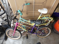 2 kinderfietsen pampas - diamant - afbeelding 4 van  4