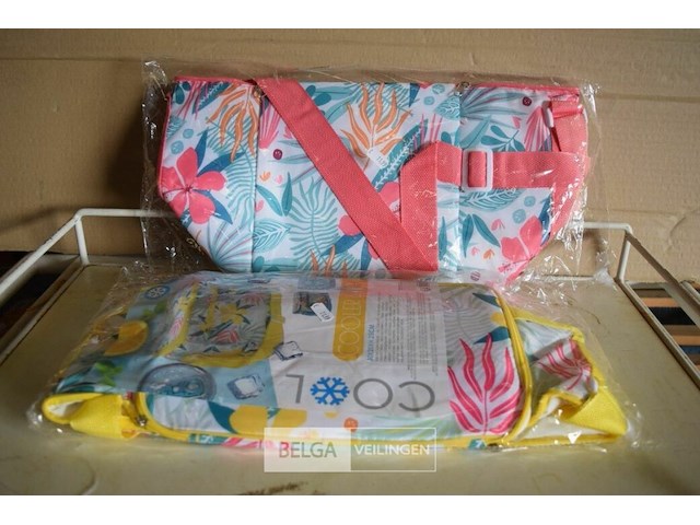 2 koelbox 12l - afbeelding 1 van  2