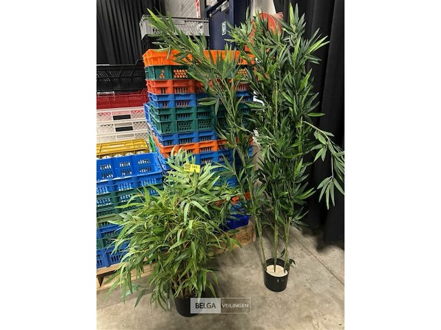 2 kunstplanten - afbeelding 2 van  2