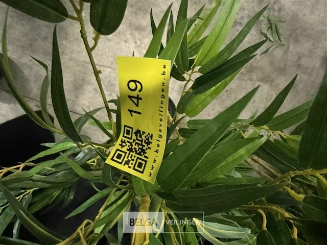 2 kunstplanten - afbeelding 4 van  4