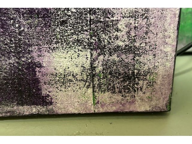 2 kunstwerken op doek - afbeelding 3 van  4