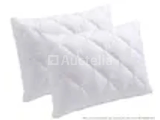 2 kussens: heart of sleep comfort - afbeelding 1 van  2