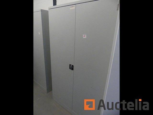 2 metaal kasten die deuren openen - afbeelding 1 van  4