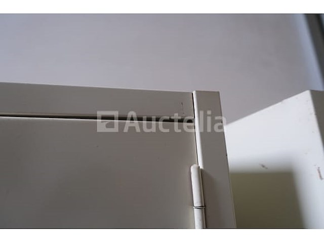 2 metalen kasten 2 deuren - afbeelding 4 van  12