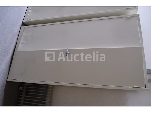 2 metalen kasten 2 deuren - afbeelding 10 van  12