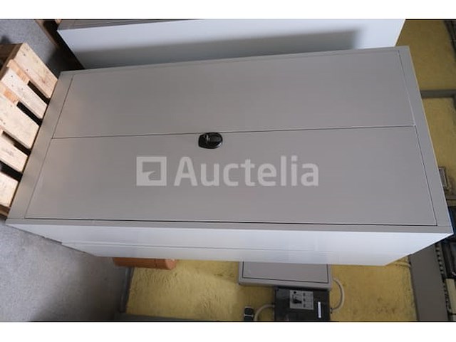 2 metalen kasten 2 deuren - afbeelding 1 van  7