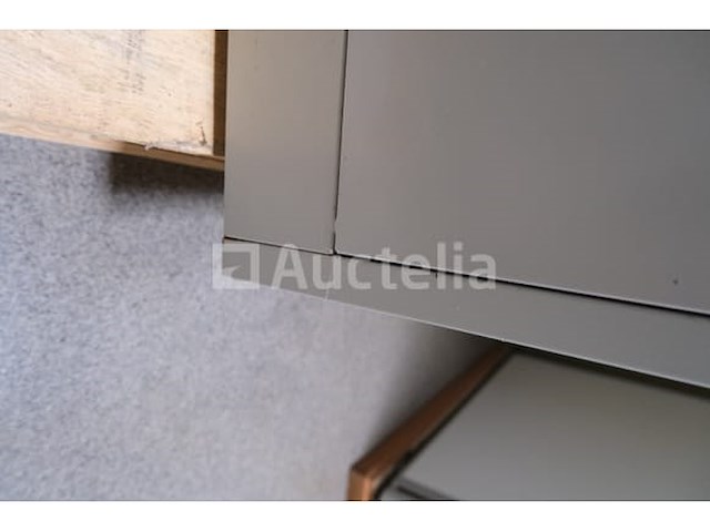 2 metalen kasten 2 deuren - afbeelding 5 van  7