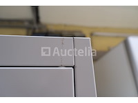 2 metalen kasten 2 deuren - afbeelding 7 van  7