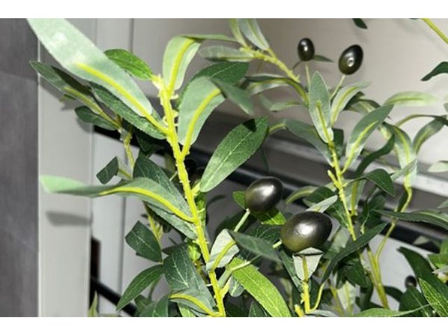 2 nepplanten - afbeelding 2 van  3