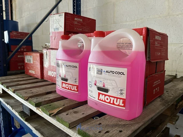 2 palletten antivries motul - afbeelding 6 van  8