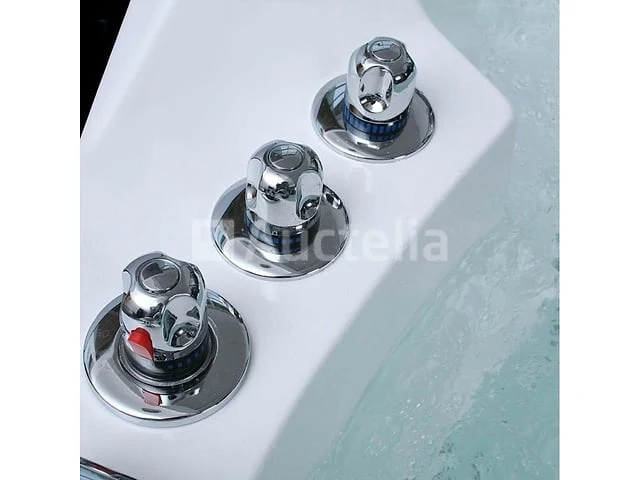 2 persoons whirlpool massagebad - hoekbad 1500x1500x620mm - afbeelding 1 van  4