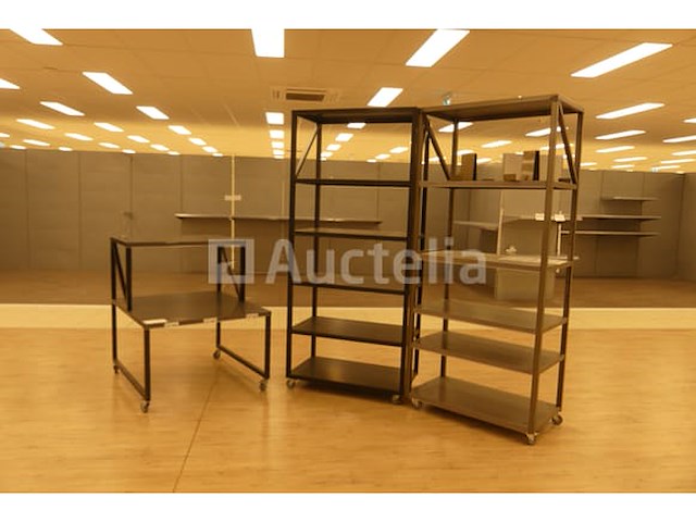 2 planken op wielen - afbeelding 9 van  10