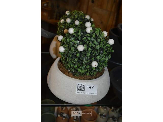 2 plastieken buxusplant in stenen bloempot - afbeelding 1 van  2