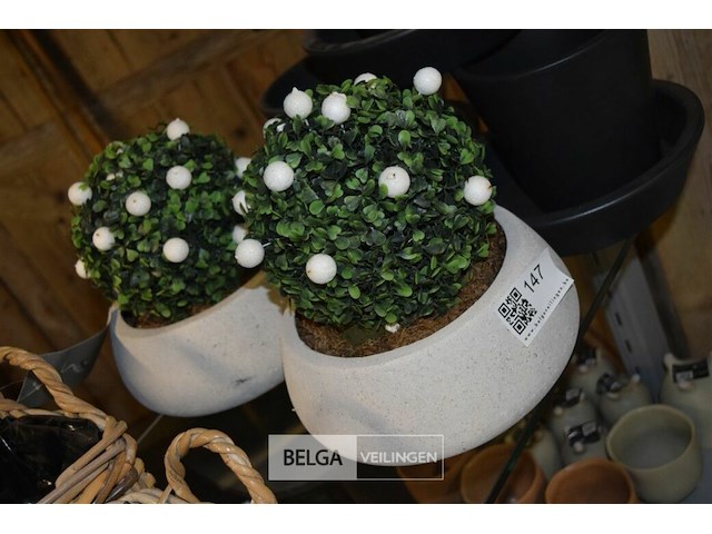 2 plastieken buxusplant in stenen bloempot - afbeelding 2 van  2