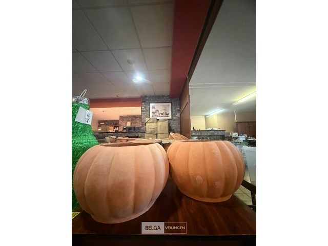 2 pompoenbloempotten - afbeelding 1 van  2