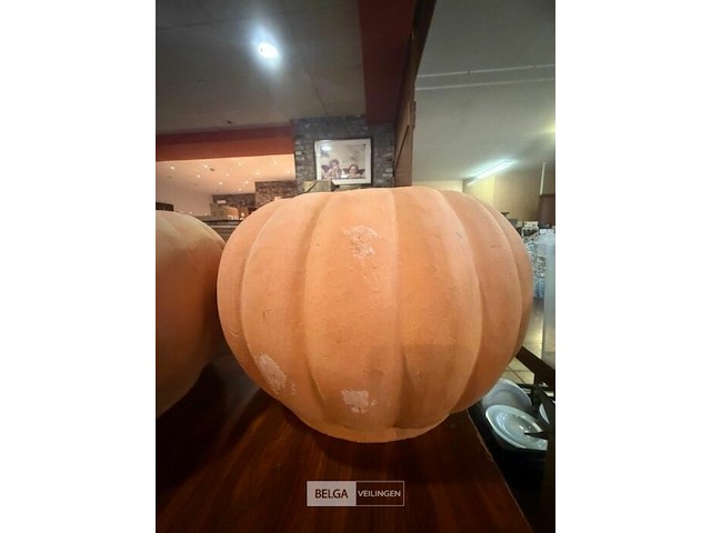 2 pompoenbloempotten - afbeelding 2 van  2