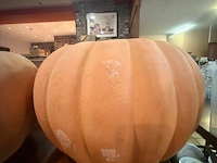 2 pompoenbloempotten - afbeelding 2 van  2