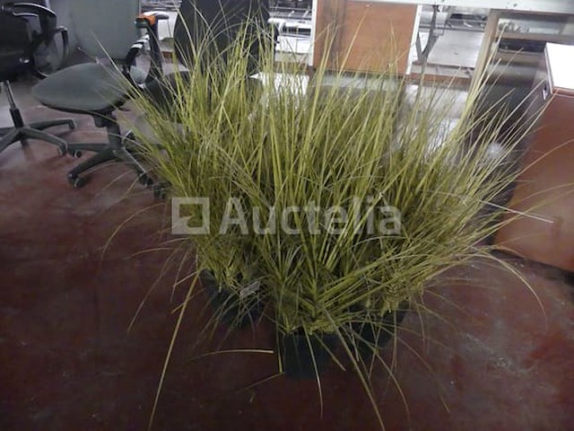 2 printers & accessoires - afbeelding 11 van  19