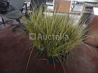 2 printers & accessoires - afbeelding 11 van  19