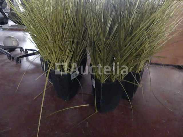 2 printers & accessoires - afbeelding 13 van  19