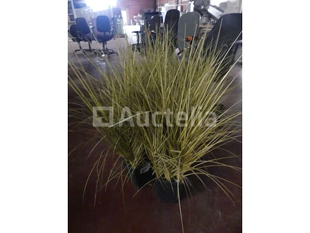 2 printers & accessoires - afbeelding 17 van  19