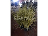 2 printers & accessoires - afbeelding 17 van  19