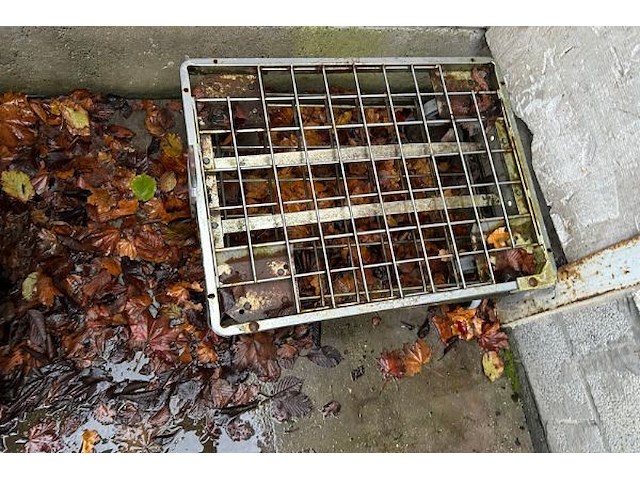 2 rolkarren - afbeelding 2 van  3