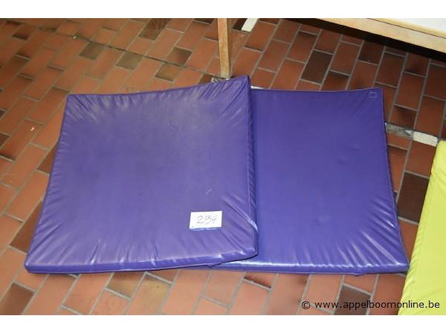 2 schuimkussens - afbeelding 1 van  1