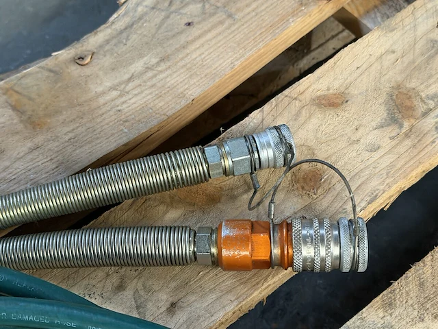 2 slangen - afbeelding 8 van  8