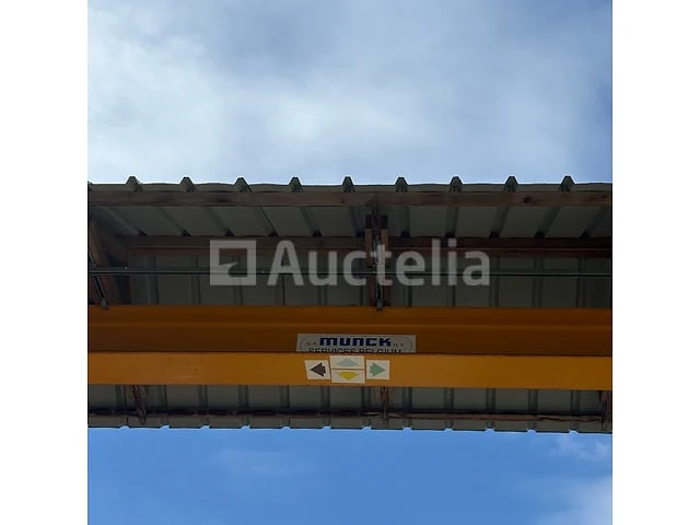 2 t munck bovenliggende kraan met zijn structuur - afbeelding 4 van  35