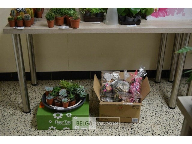 2 tafels regelbare poten 140x60x75 cm - afbeelding 1 van  4