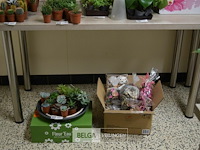 2 tafels regelbare poten 140x60x75 cm - afbeelding 1 van  4