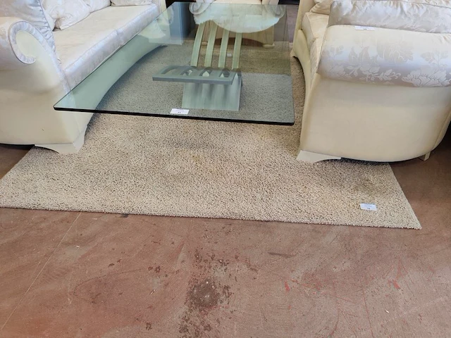 2 tapijten jab anstoetz flooring uit de collectie lana color 200x250 cm gemaakt van zuivere scheerwol - afbeelding 1 van  7