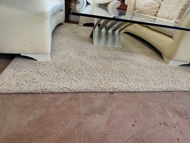 2 tapijten jab anstoetz flooring uit de collectie lana color 200x250 cm gemaakt van zuivere scheerwol - afbeelding 2 van  7