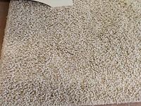 2 tapijten jab anstoetz flooring uit de collectie lana color 200x250 cm gemaakt van zuivere scheerwol - afbeelding 3 van  7