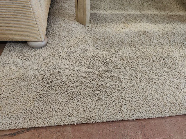 2 tapijten jab anstoetz flooring uit de collectie lana color 200x250 cm gemaakt van zuivere scheerwol - afbeelding 5 van  7