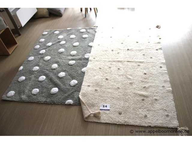 2 tapijten - afbeelding 1 van  3