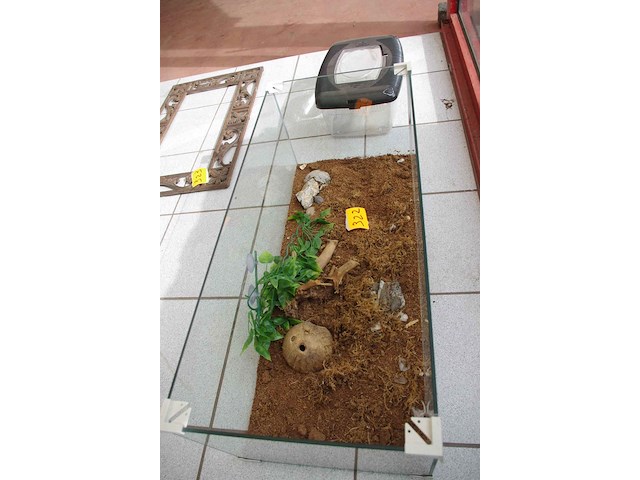 2 terrariums - afbeelding 1 van  3