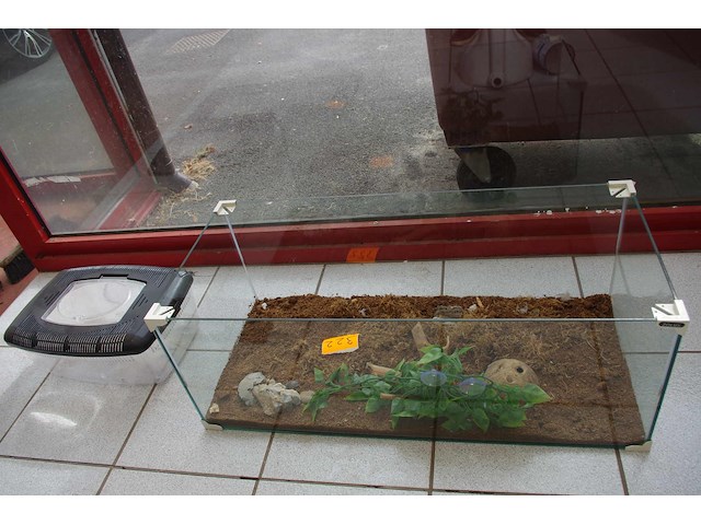 2 terrariums - afbeelding 2 van  3