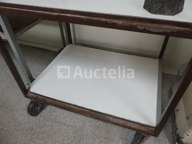 2 trolleys met 3 niveaus - afbeelding 3 van  9