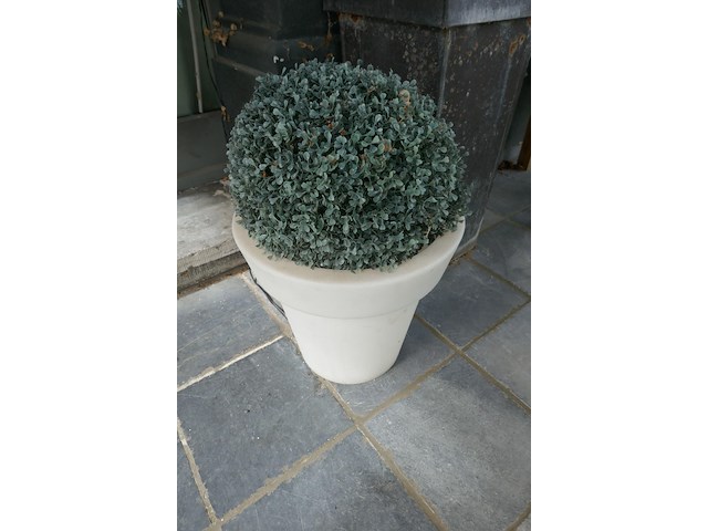 2 verlichte bloempotten - afbeelding 1 van  2