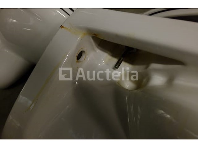 2 wastafels en 2 toiletten - afbeelding 4 van  10