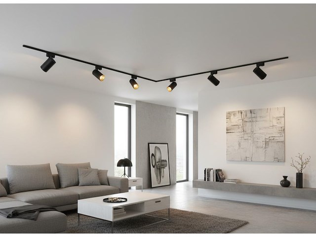 2 x 2 meter railsysteem met 6 st railspot gu10 fitting met ring - afbeelding 13 van  13