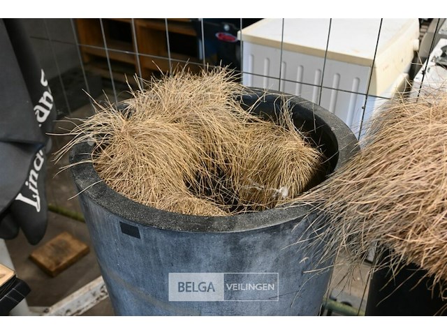 2 x grote plantenbak - afbeelding 2 van  3