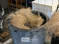 2 x grote plantenbak - afbeelding 2 van  3
